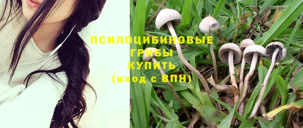 спайс Верхний Тагил
