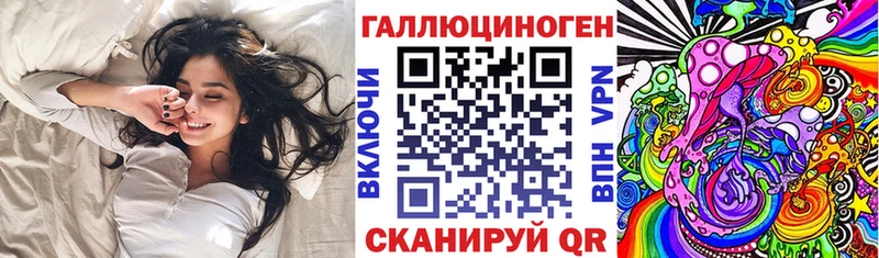 Псилоцибиновые грибы Psilocybe  blacksprut как зайти  Катайск 